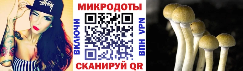 площадка клад  Шлиссельбург  Псилоцибиновые грибы ЛСД  что такое  